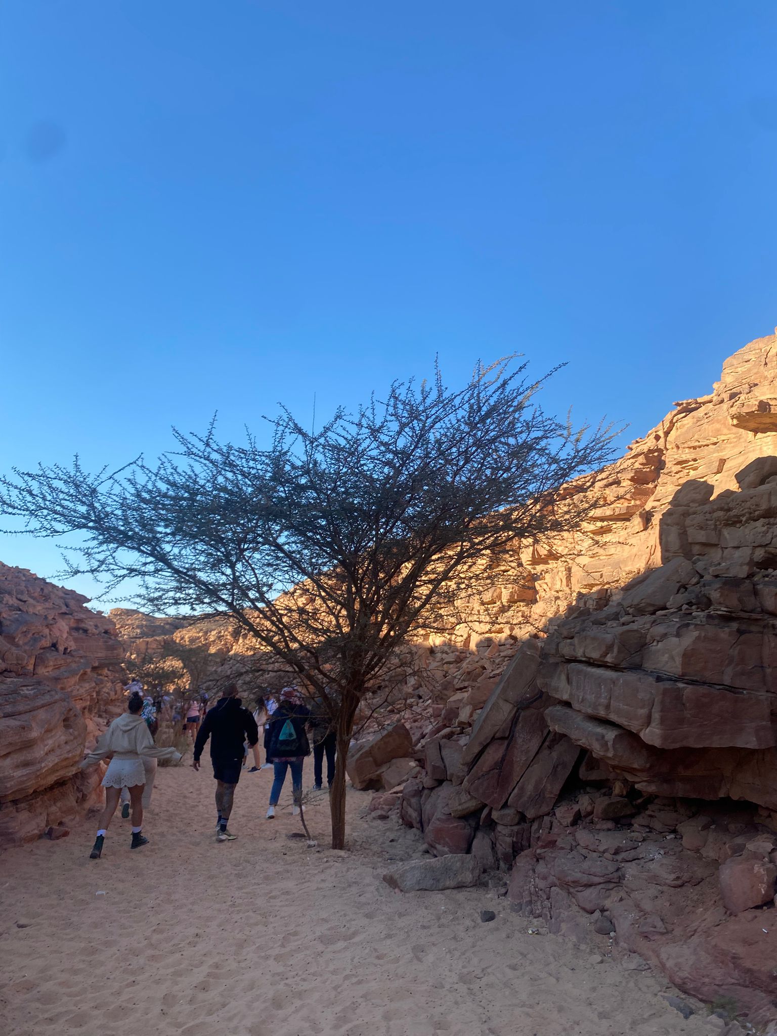 Dahab & Blue Hole Adventure