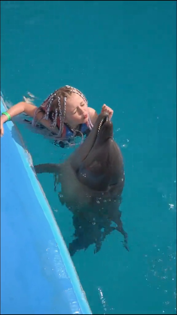 Amazing Swimming With Dolphins